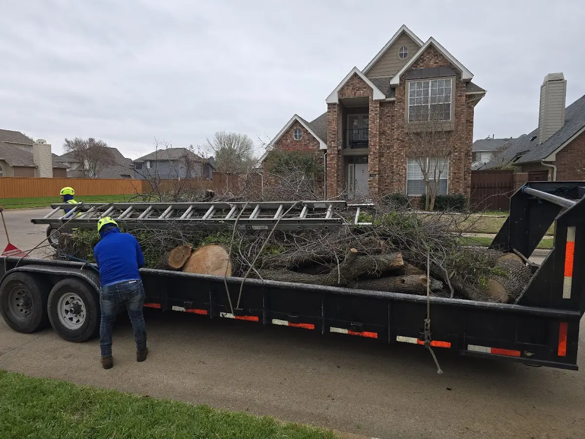 Expert Tree Fertilization with proper safety equipment in Franklin